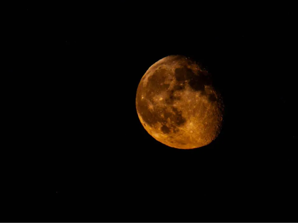 Фото: REGIONS/Роман Малышенко