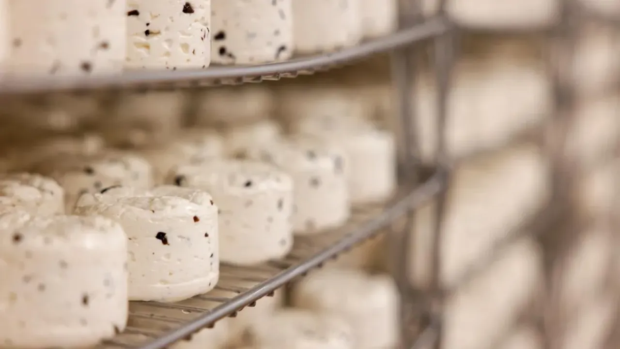 медиасток.рф