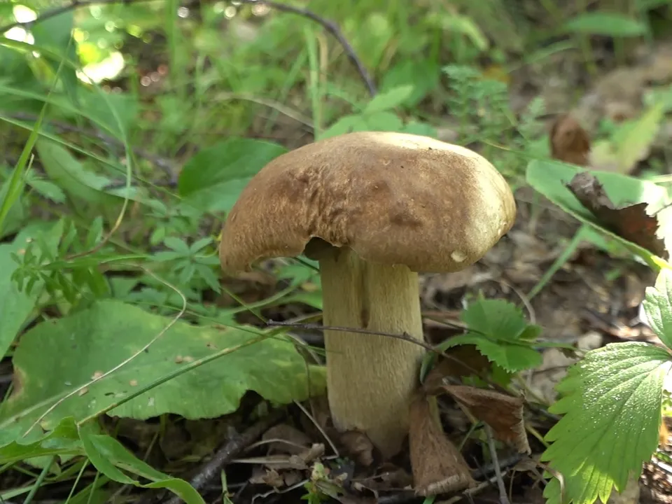 Фото: Наталия Надточая&nbsp;