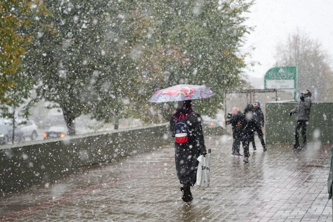 Дмитрий Зайчиков