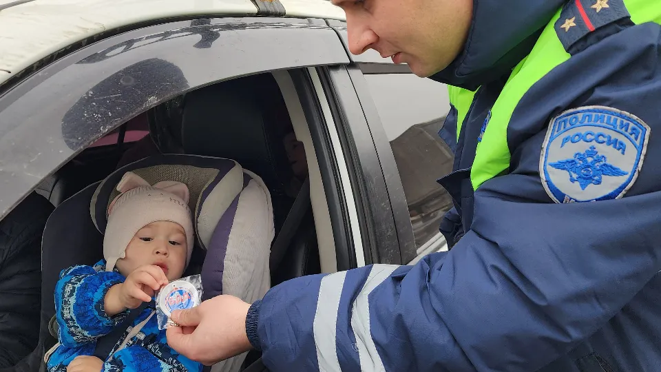 Фото: МедиаБанк Подмосковья/Валерия Тингаева
