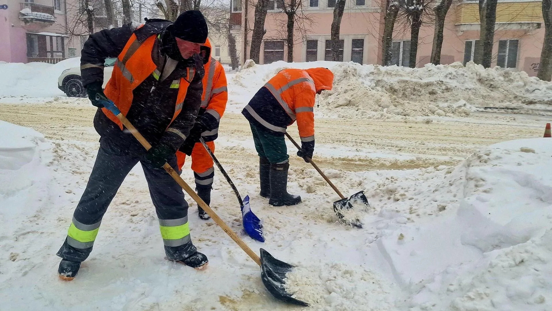 REGIONS/Ольга Шаронова