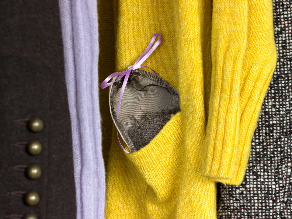 Фото: istockphoto.com