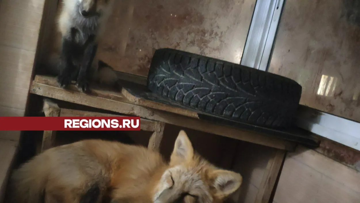 фото: из личного архива Дмитрия