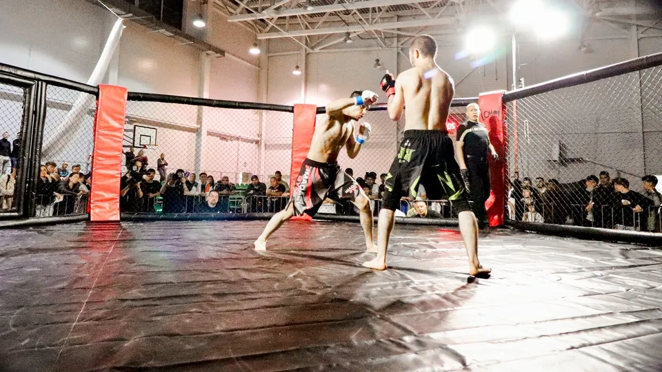 Фото: МедиаБанк Подмосковья/Данила Кирьянов