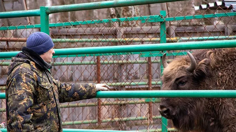 Приокско-Террасный заповедник/Ольга Калинина/vk.com