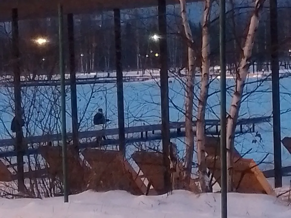 Фото: vk.com/Подслушано Электрогорск