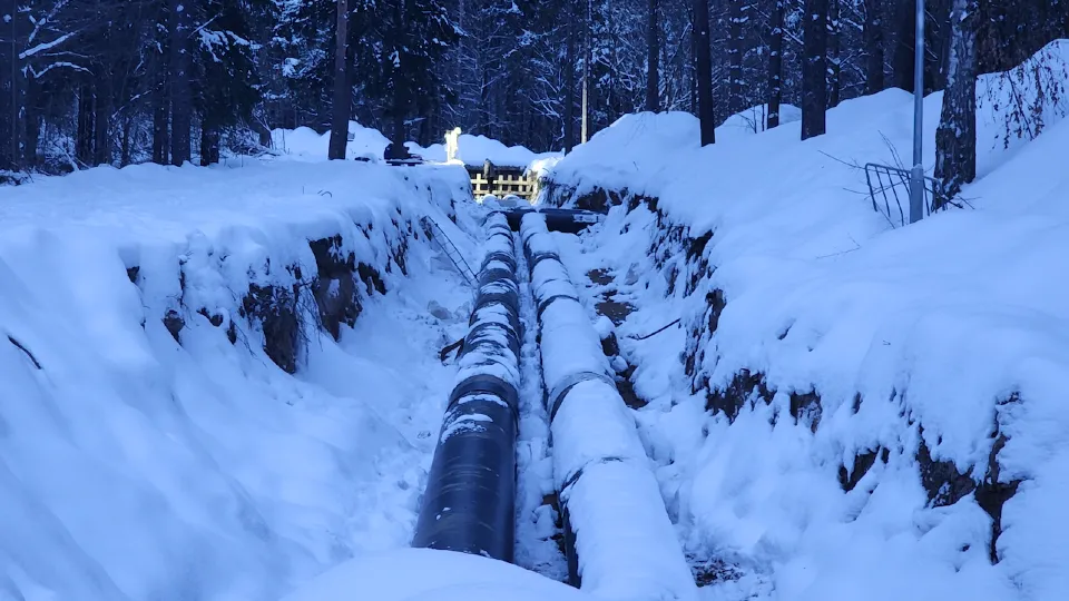Фото: МедиаБанк Подмосковья/Иван Петрушин