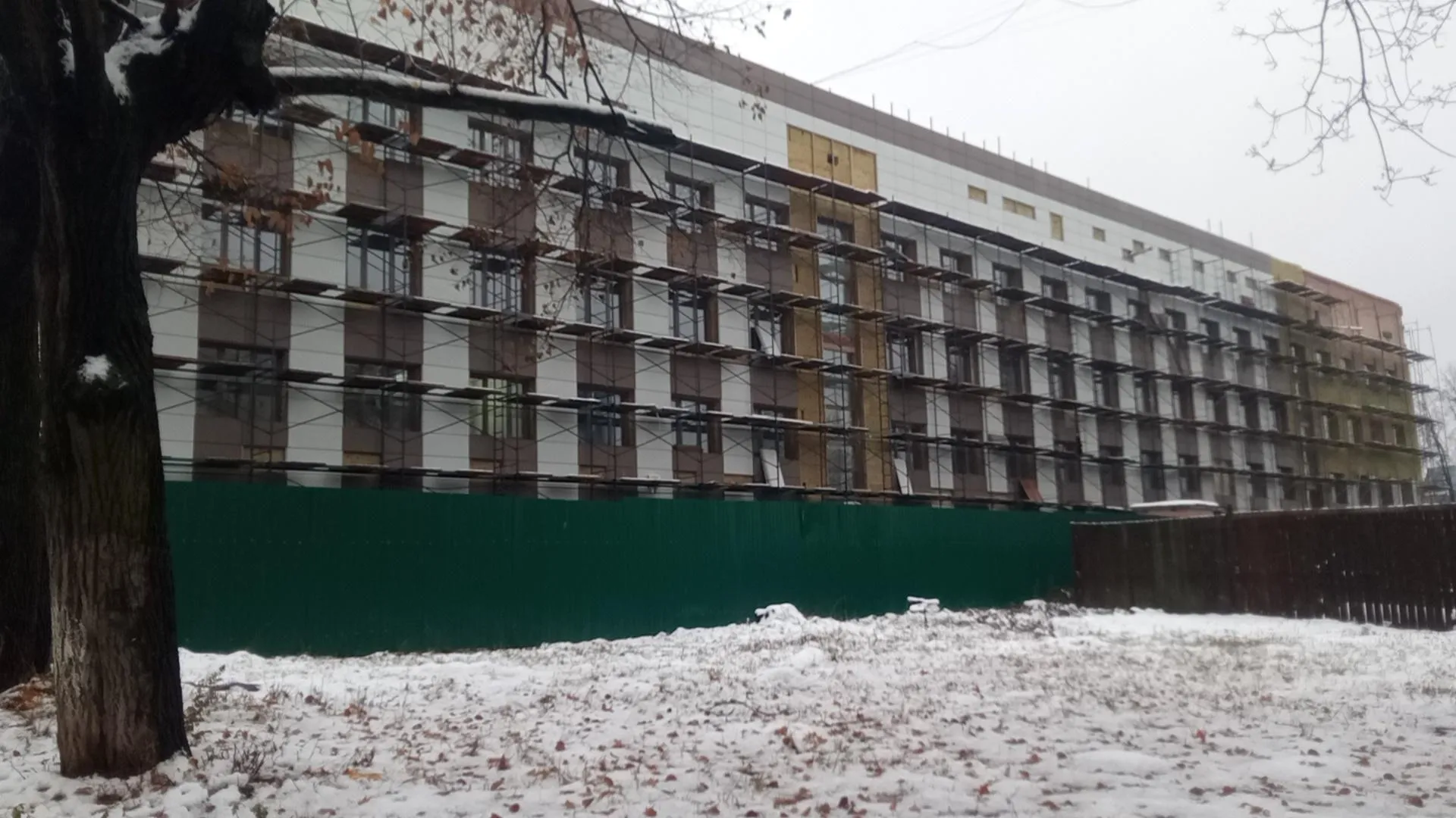 Алёна Притула