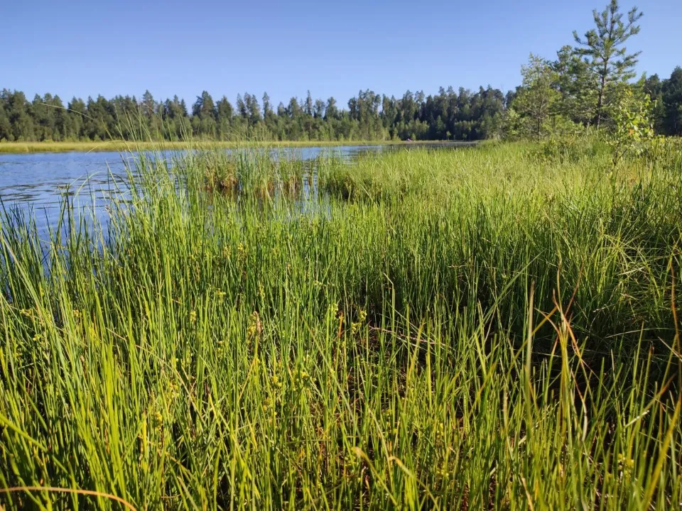 Фото: Анна Карташева