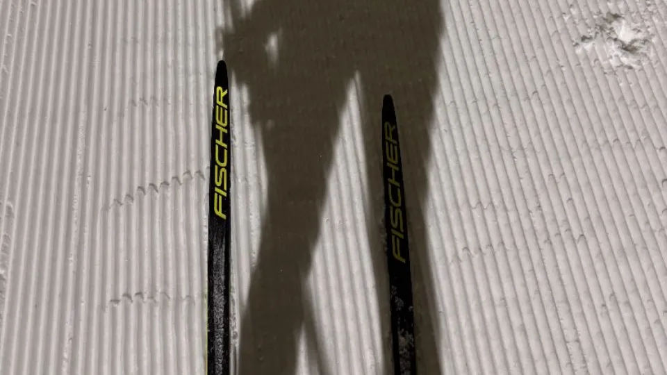 Фото: МедиаБанк Подмосковья/Мария Шматкова