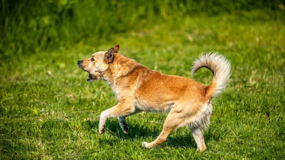 Фото: REGIONS/Роман Малышенко