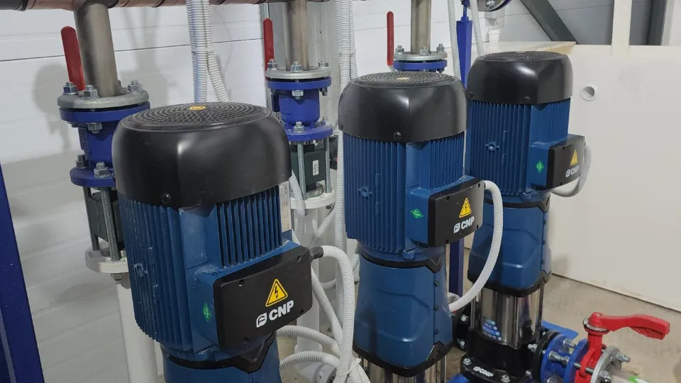 Фото: МедиаБанк Подмосковья/Екатерина Морозова