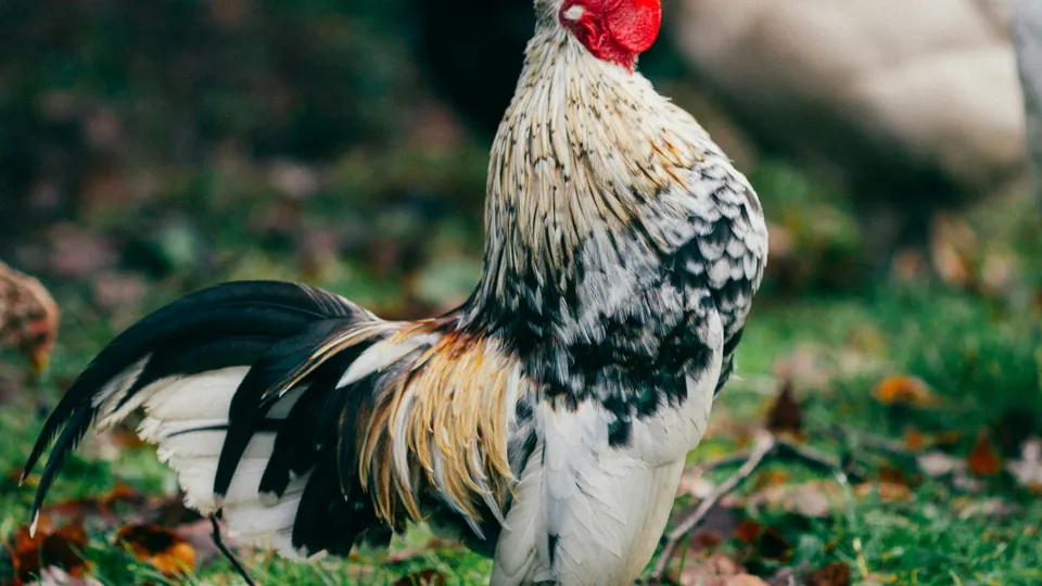 Фото: unsplash.com