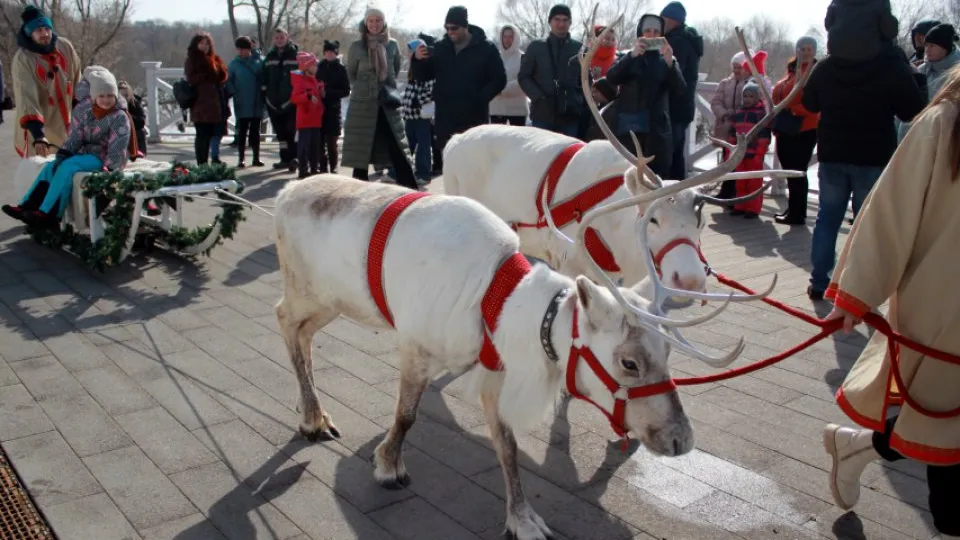 Фото: Наталья Дорофеева