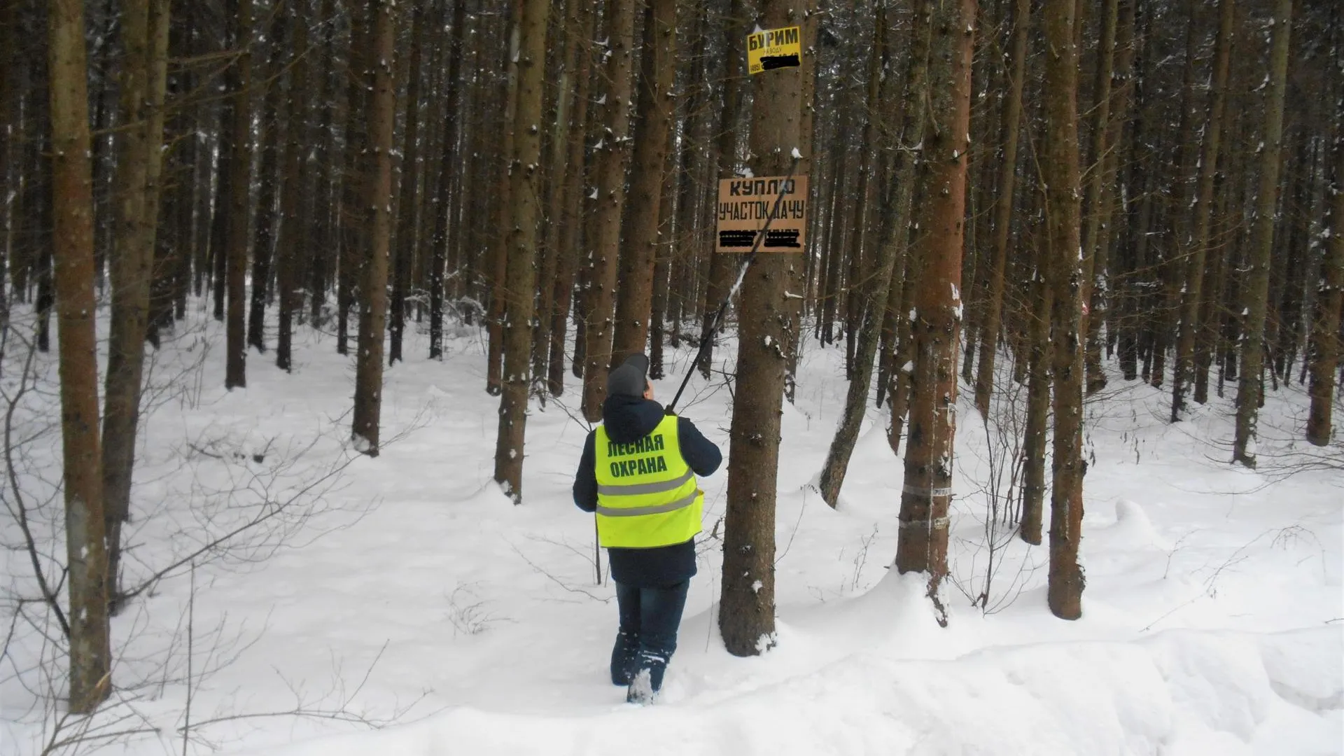Комитет лесного хозяйства Московской области