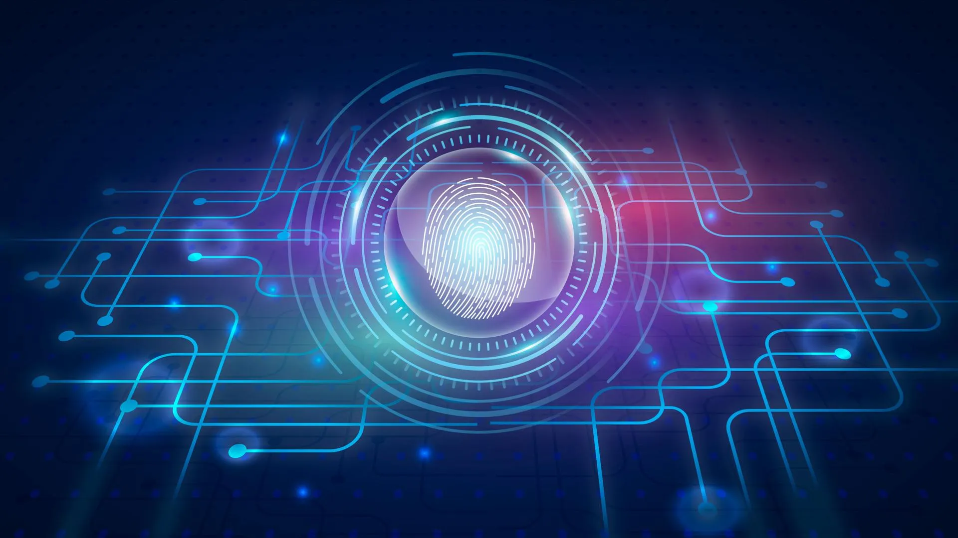 Фото: ru.freepik.com