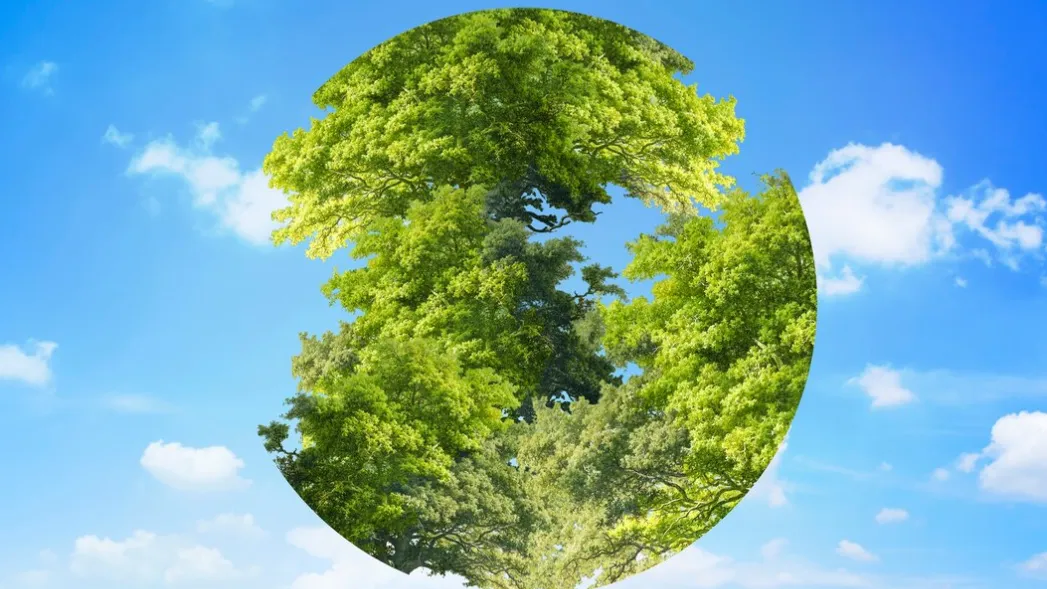 Источник: ru.freepik.com