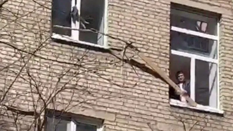 Жители Королева сообща спасли застрявшую в окне кошку