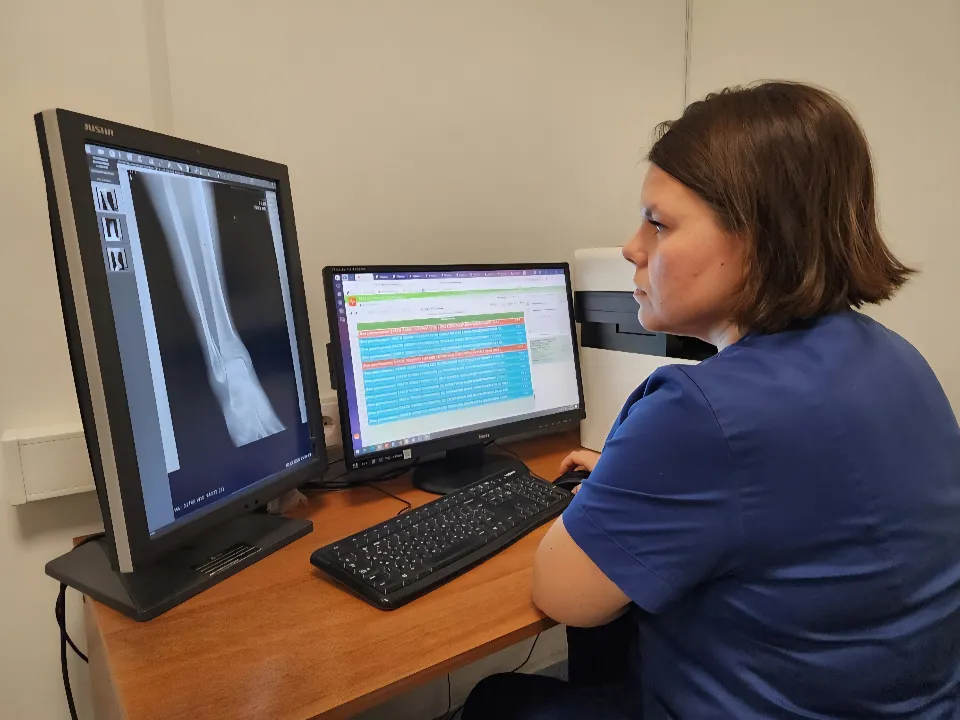 Фото: МедиаБанк Подмосковья/Мария Шигорева