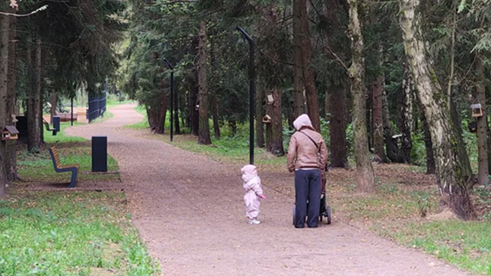 Фото: Министерство благоустройства Московской области