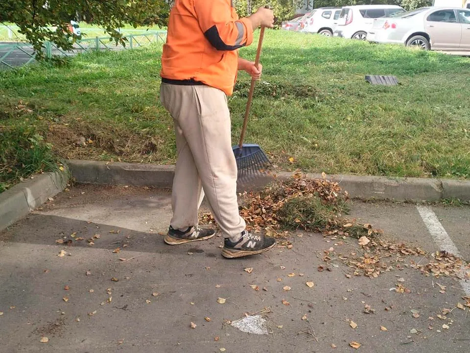 Фото: администрация г. о. Солнечногорск&nbsp;