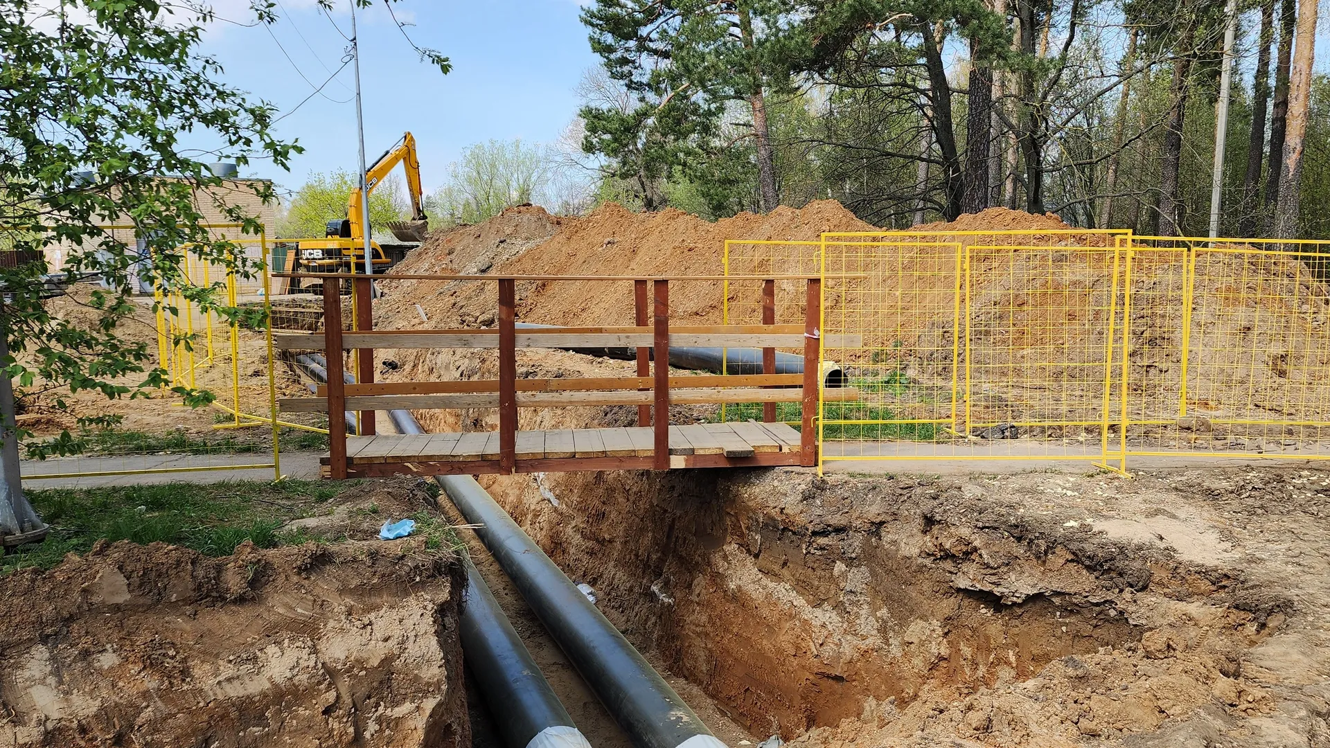 Фото: МедиаБанк Подмосковья/Валерия Тингаева