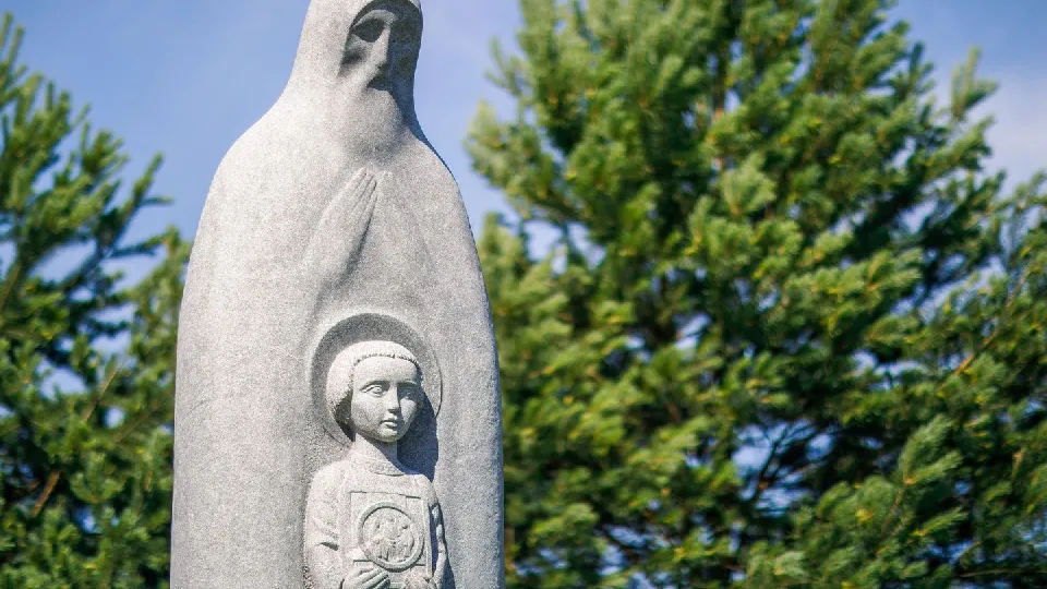 Фото: медиасток.рф