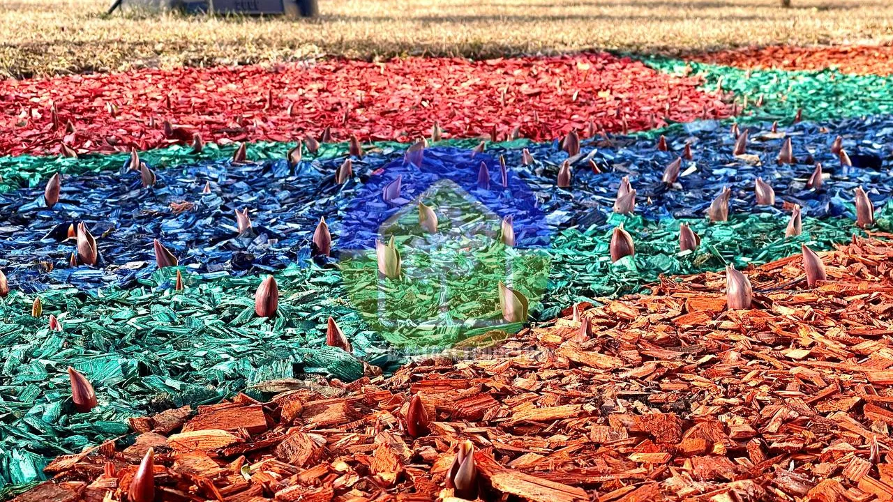 Telegram-канал МБУ «Благоустройство»