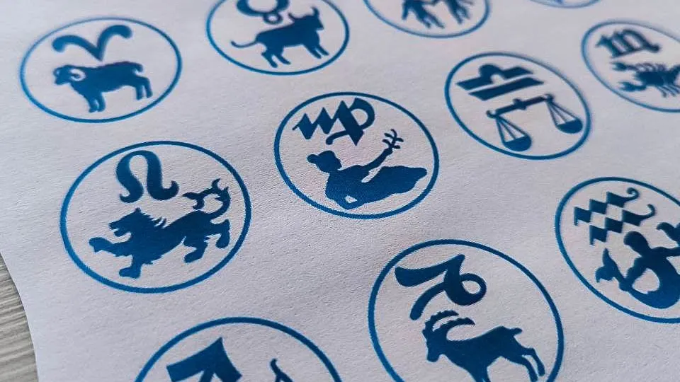 Фото: REGIONS/Дарина Левкина