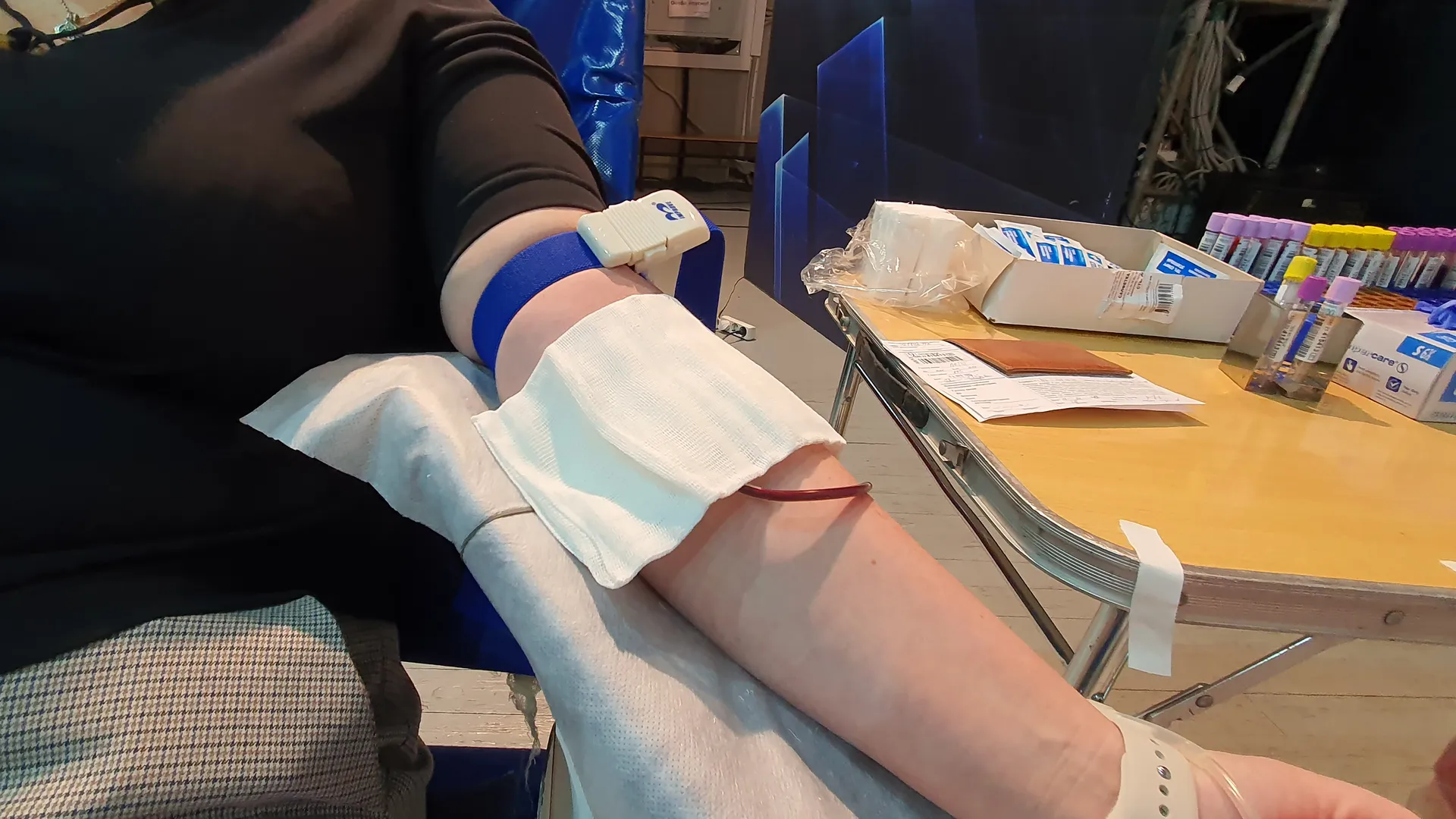 фото - Н. Надточая