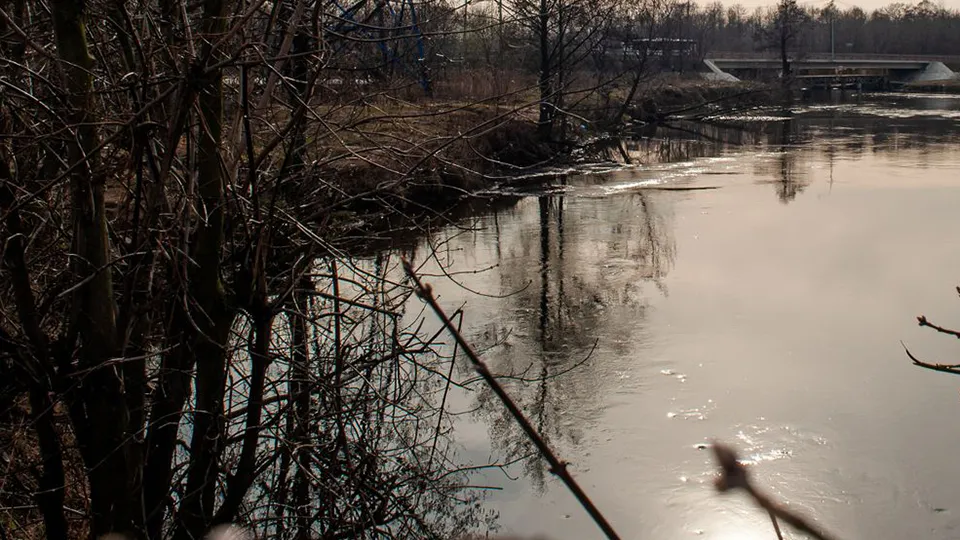 Фото: Медиасток.рф