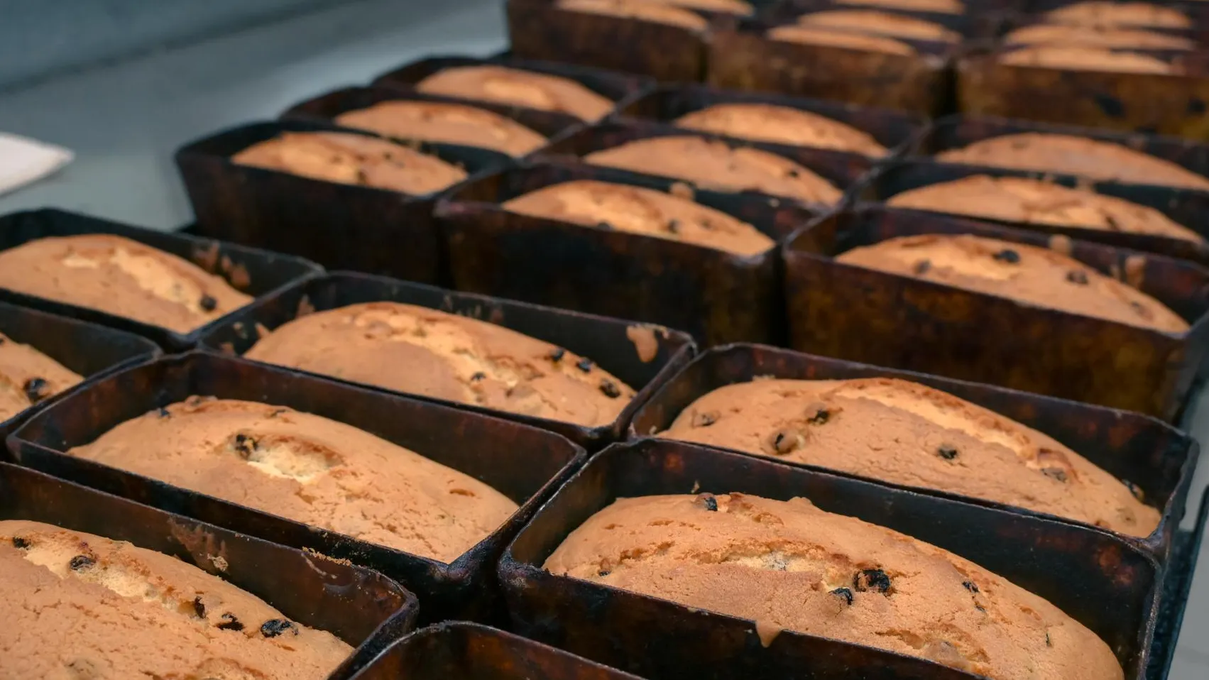 Фото: пресс-служба администрации Сергиево-Посадского г.о.