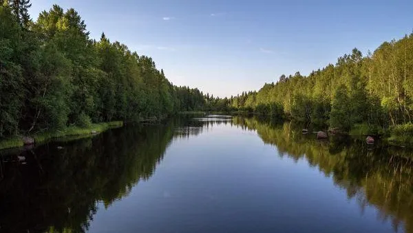 Чистые леса, вода и воздух. Экология входит в тройку важнейших направлений работы властей Подмосковья
