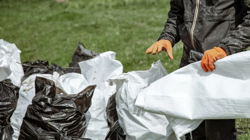 Фото: freepik.com