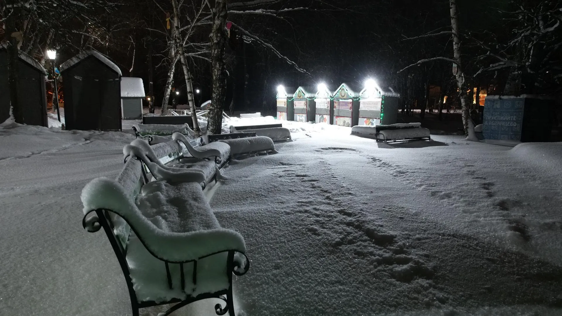 Дарья Московцева