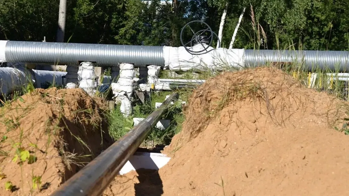 Фото: пресс-служба Администрации г.о. Дмитров