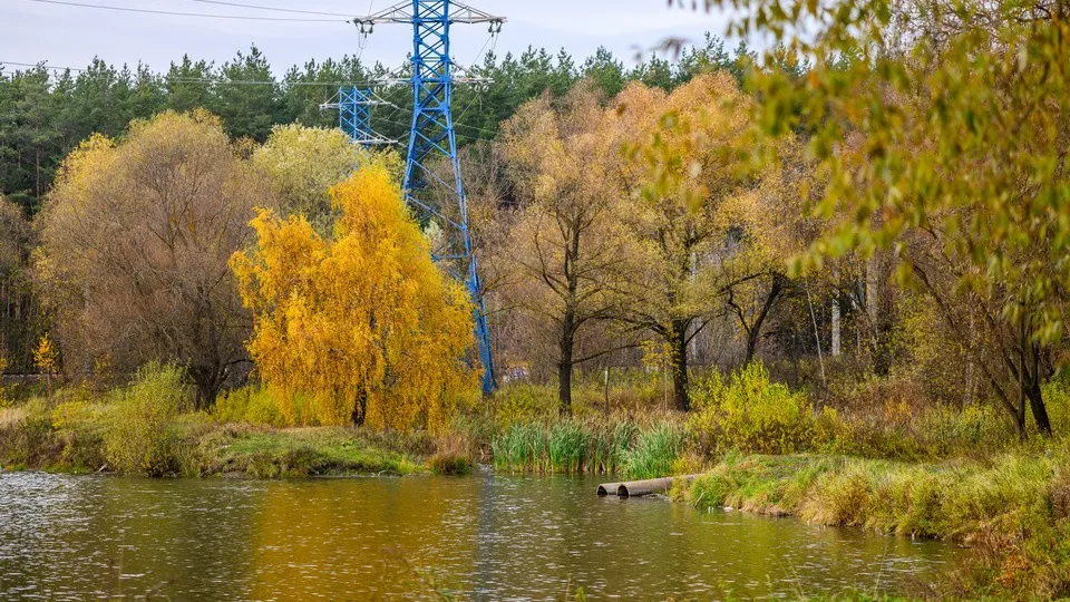 Фото: медиасток.рф