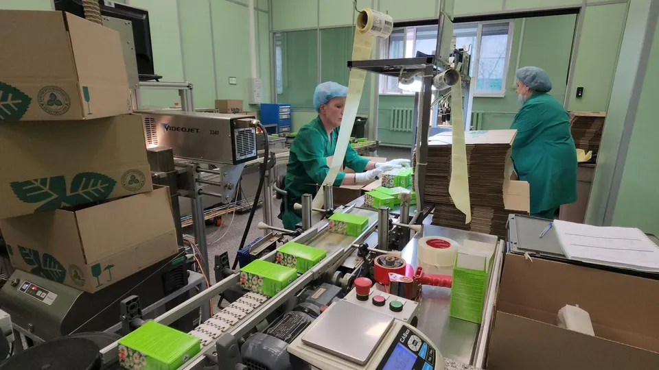 Фото: МедиаБанк Подмосковья/Артем Мишуков