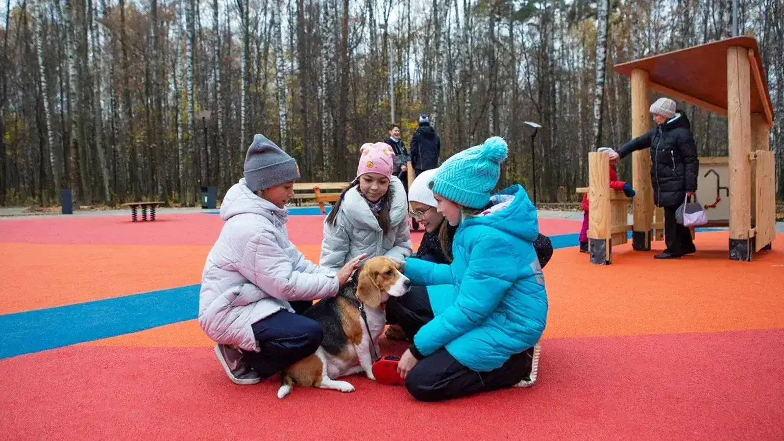 Фото: Министерство благоустройства МО