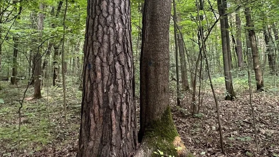 Министерство экологии и природопользования Московской области
