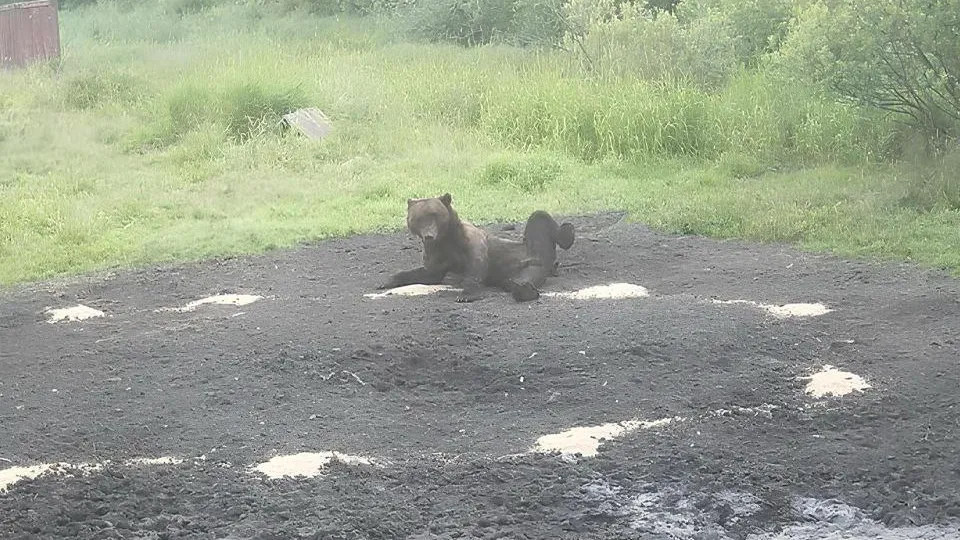 Фото: предоставлено Константином Щербаковым