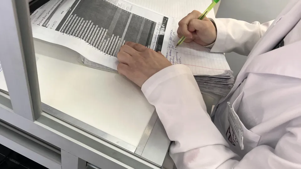 Фото: МедиаБанк Подмосковья/Ангелина Стельмух