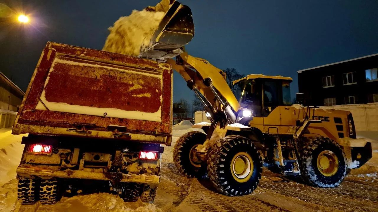 Виктория Фортуна