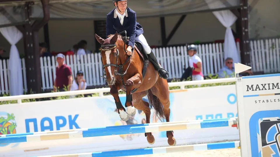 Фото: пресс-служба Администрации г.о. Химки