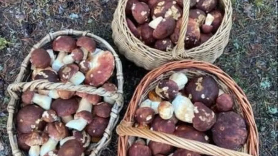 Фото: vk.com/Подслушано Истра • 2024