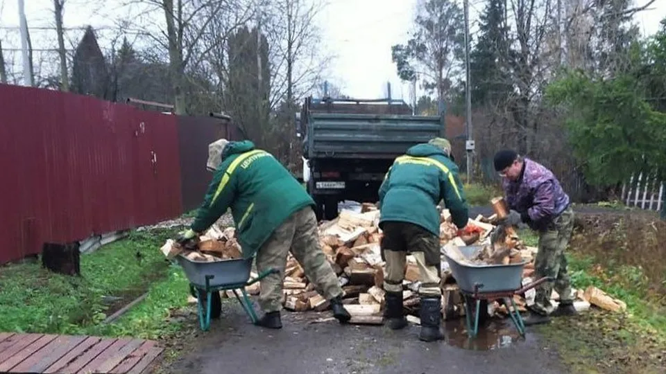Фото: Комитет лесного хозяйства МО