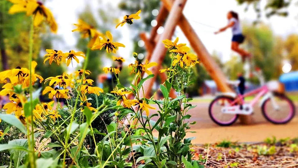 Фото: REGIONS/Алексей Селиверстов