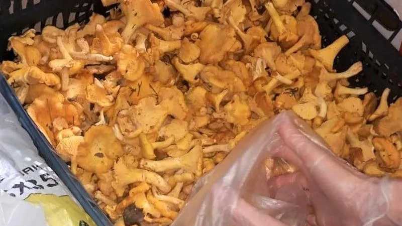 Министерство сельского хозяйства и продовольствия МО