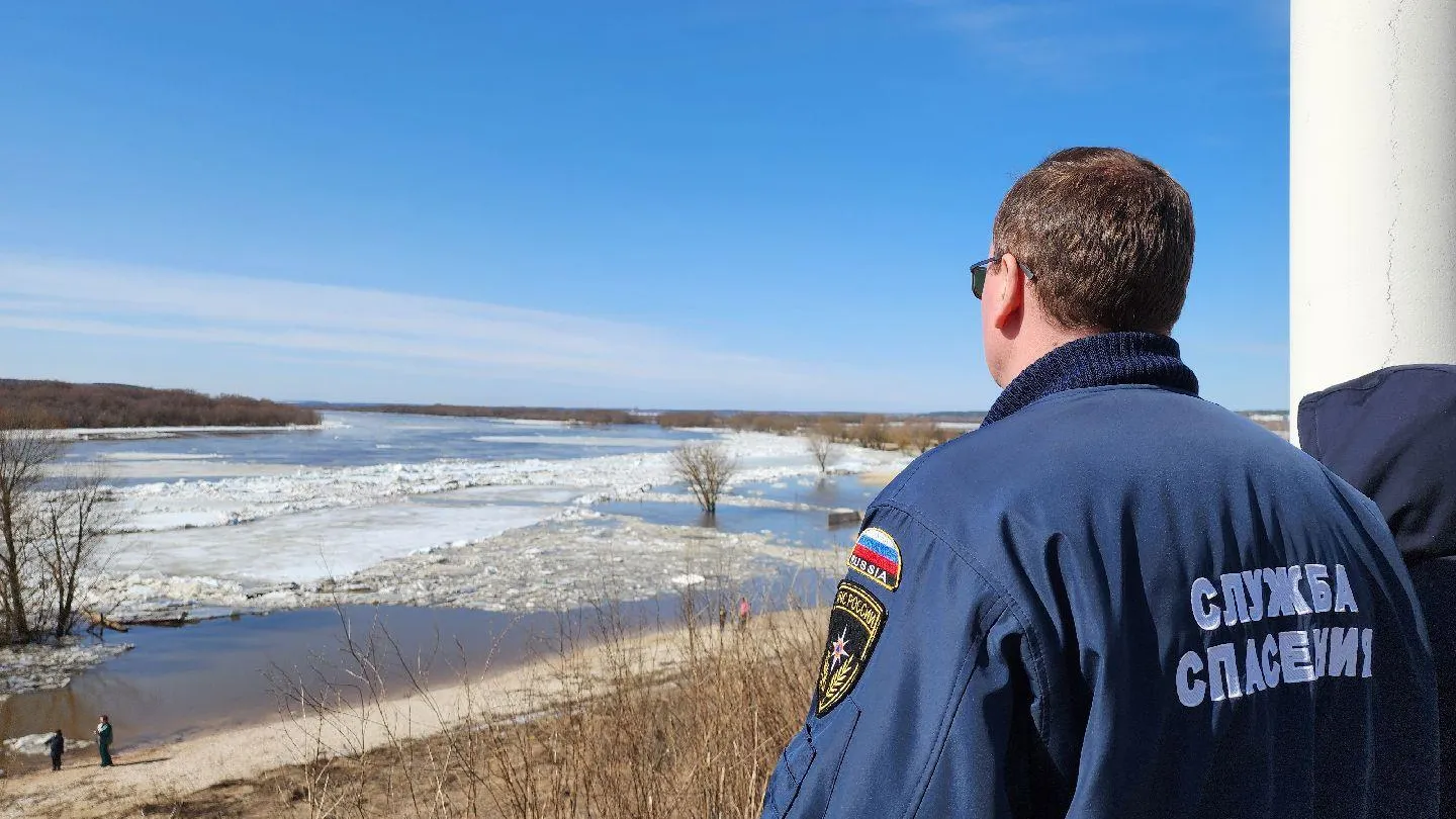 МедиаБанк Подмосковья/Александр Степушкин